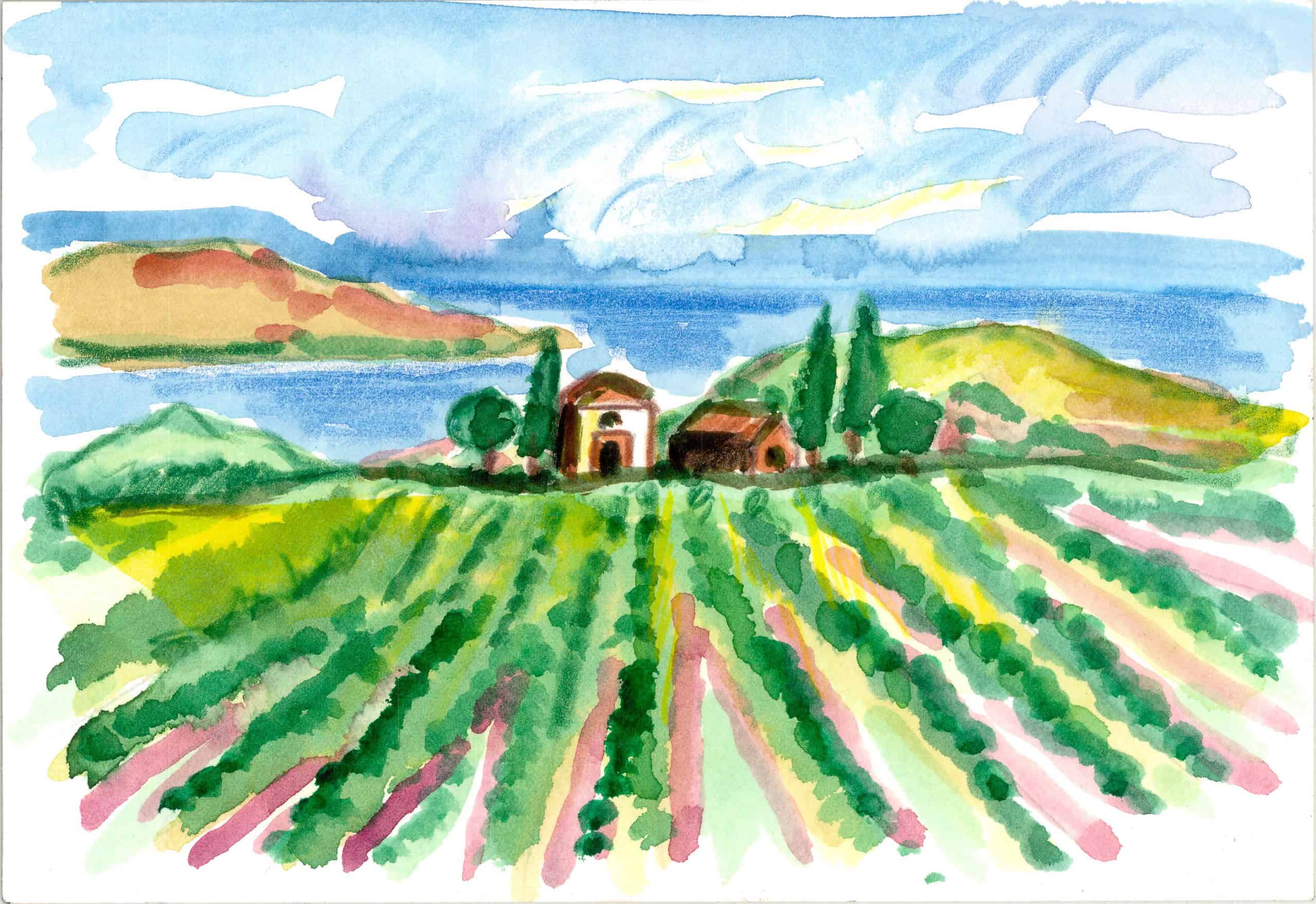 illustration_vingard
