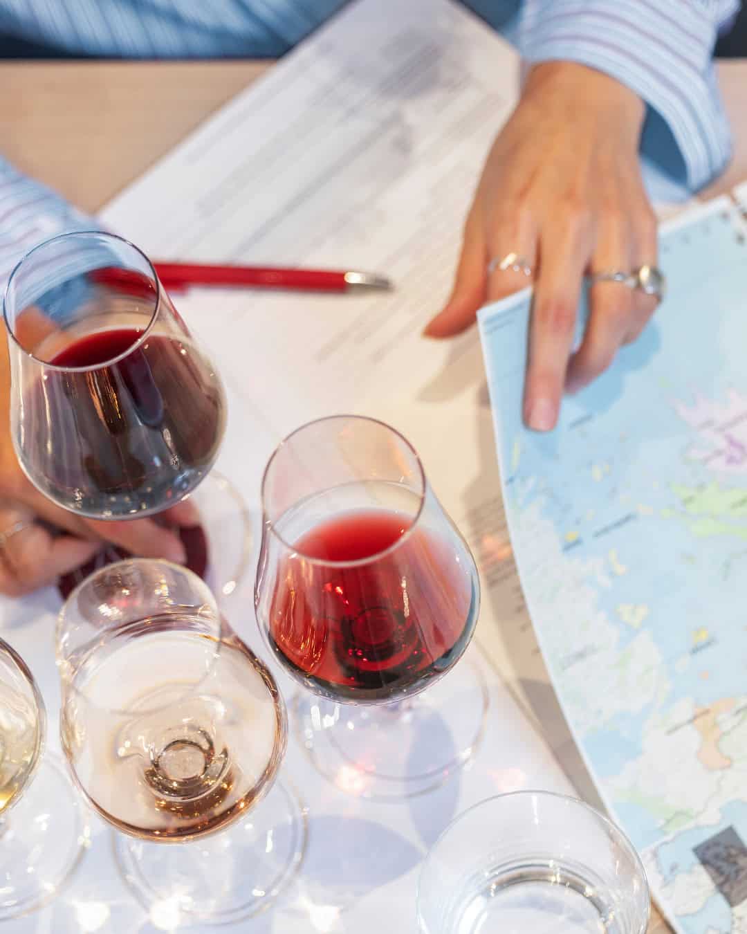 Blid på vinklar och kursmaterial från The Wine Hubs Vin 1