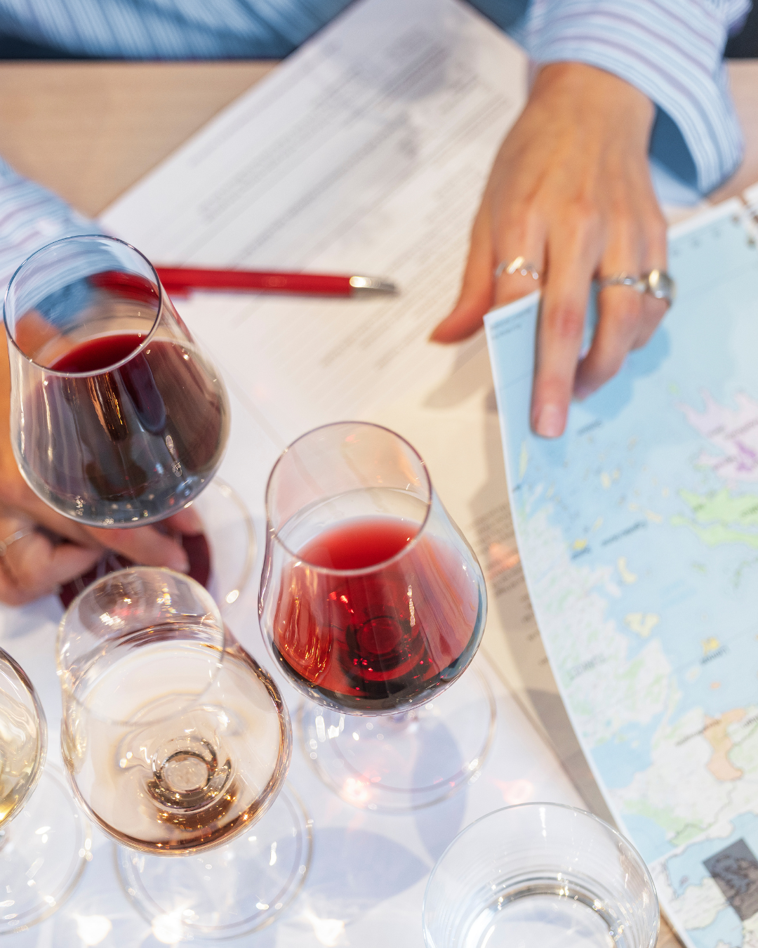 Blid på vinklar och kursmaterial från The Wine Hubs Vin 1