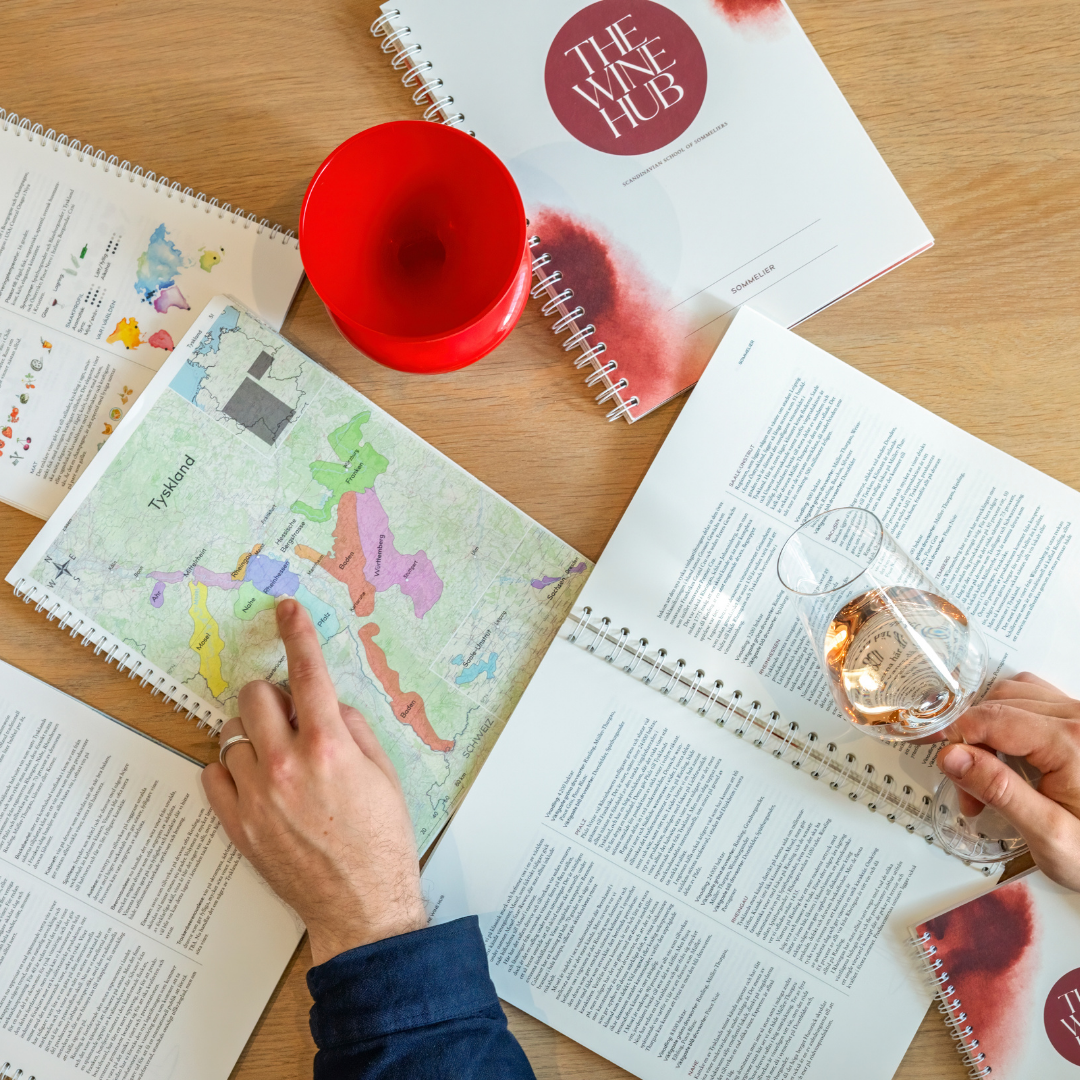 Bild på student som studerar med The Wine Hubs kursmaterial.