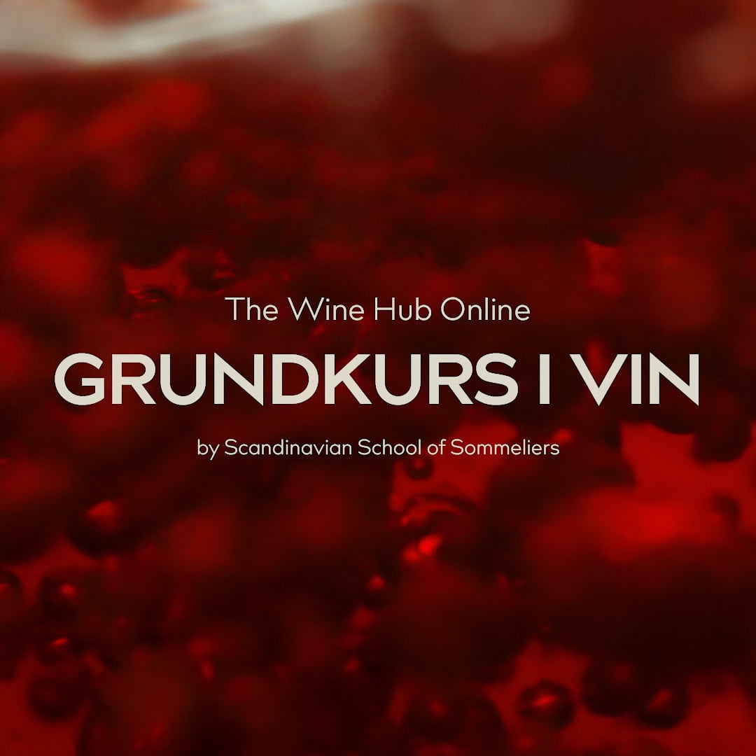Bild på intro till The Wine Hub Online - Grundkurs i vin