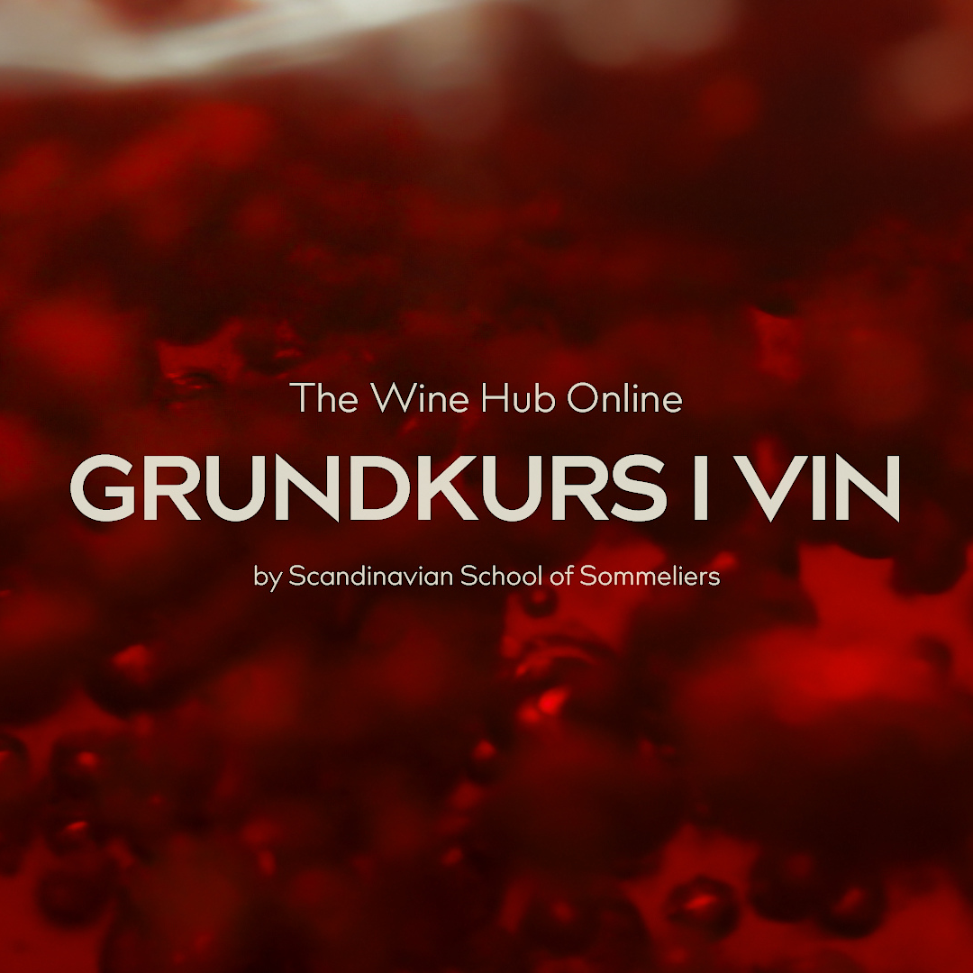 Bild på intro till The Wine Hub Online - Grundkurs i vin
