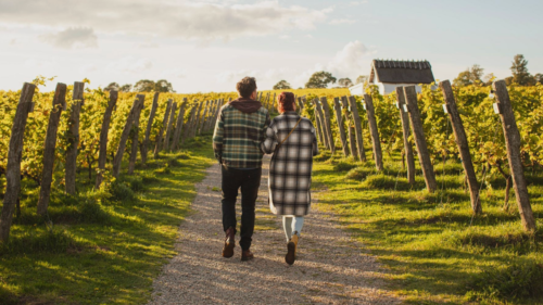 Masterclass: Svenskt vin & hantverkscider